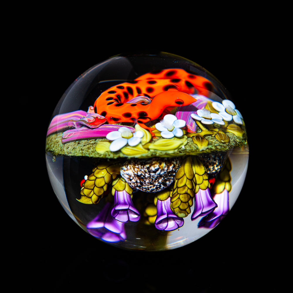 Ponder The Orb: Clinton Smith - Ladybug Salamander Marble