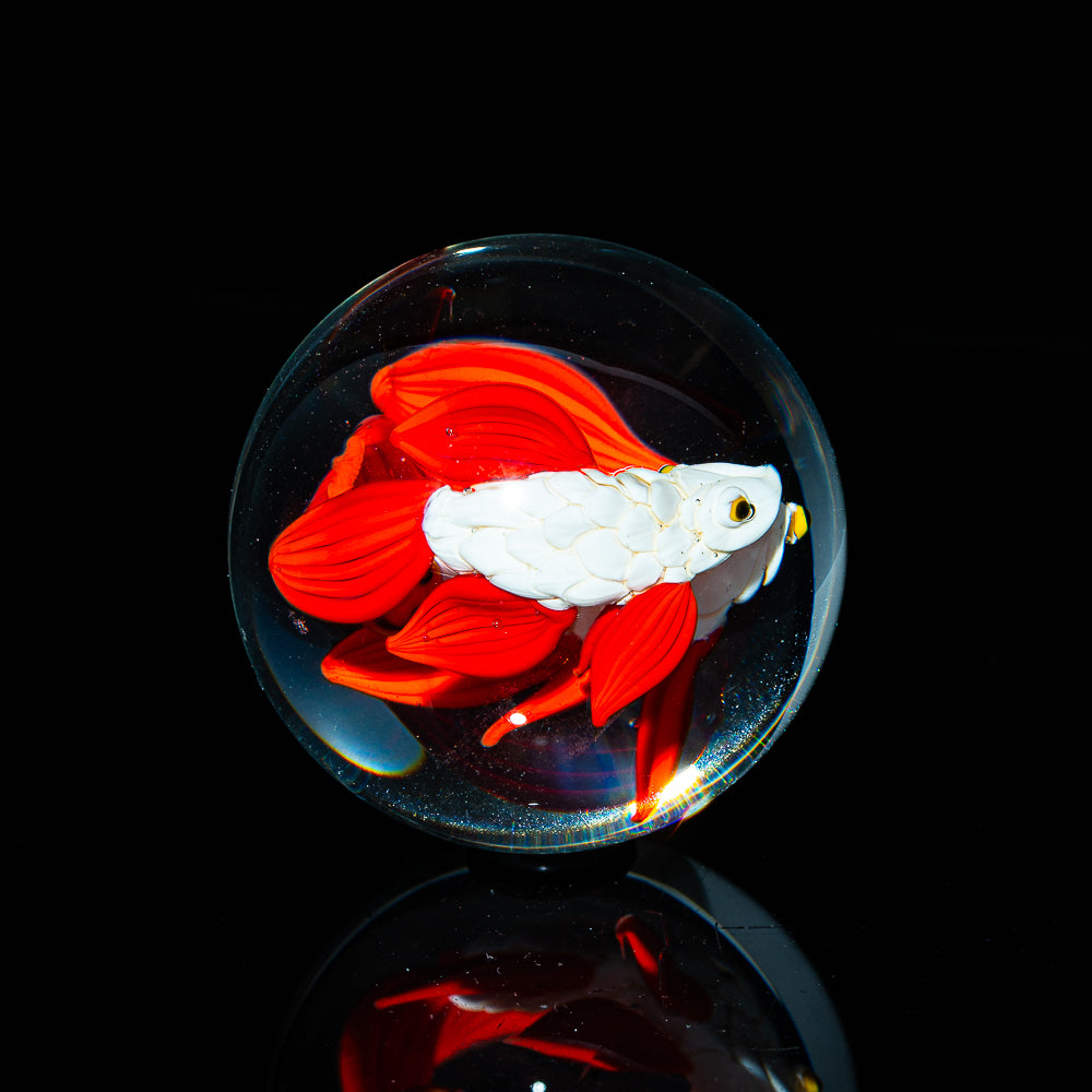 Ponder The Orb: Clinton Smith - Betta Fish Marble