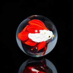 Ponder The Orb: Clinton Smith - Betta Fish Marble