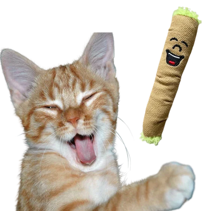 Paw:20 - Lil B The Blunt Cat Toy