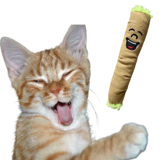 Paw:20 - Lil B The Blunt Cat Toy
