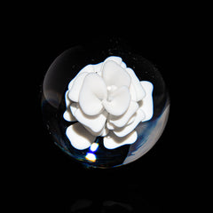 Ponder The Orb: Dirty Terp - Lotus White Flower Implosion