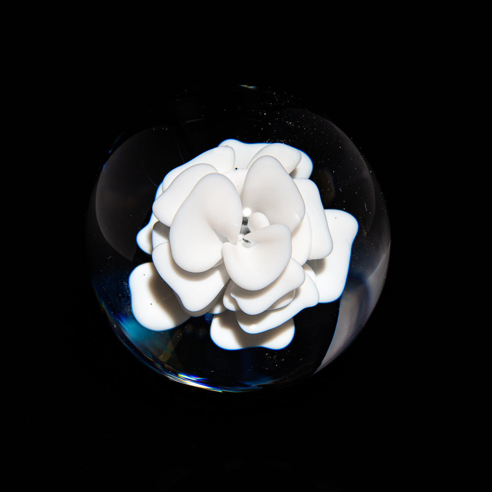 Ponder The Orb: Dirty Terp - Lotus White Flower Implosion