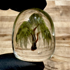 Woodlander Glass - Mini Weeping Willow