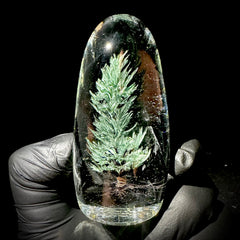 Woodlander Glass - XL Pine Tree Paperweight