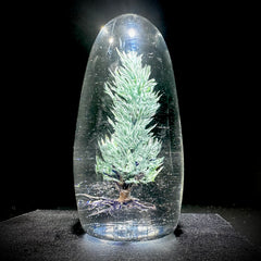 Woodlander Glass - XL Pine Tree Paperweight