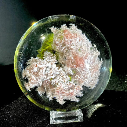 Woodlander Glass - Weeping Cherry Tree