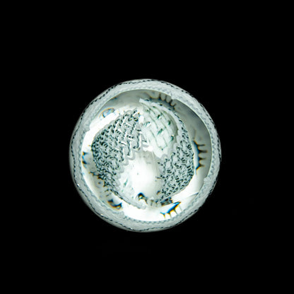 Reed Glass - 3/2 Time 31MM Marble