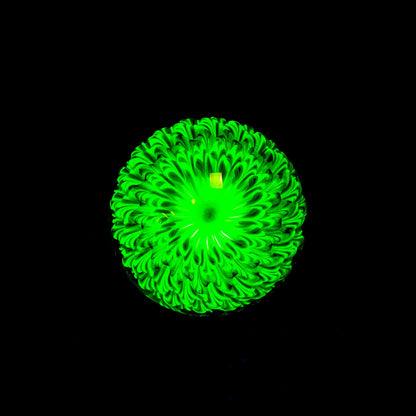 UV reactive green glass art sphere with intricate floral pattern on black background