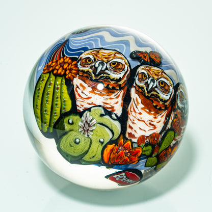 Stephen Boheme - Owl Family 67MM Marble