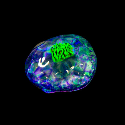 Northern Lights x Takao Miyake - Medium Mizu Pendant
