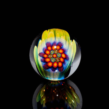 Banjo 02' Series - Vision Caine Implosion 25MM Marble #1