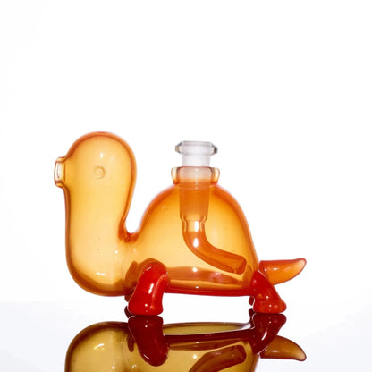 Eli Munster Turtle Set