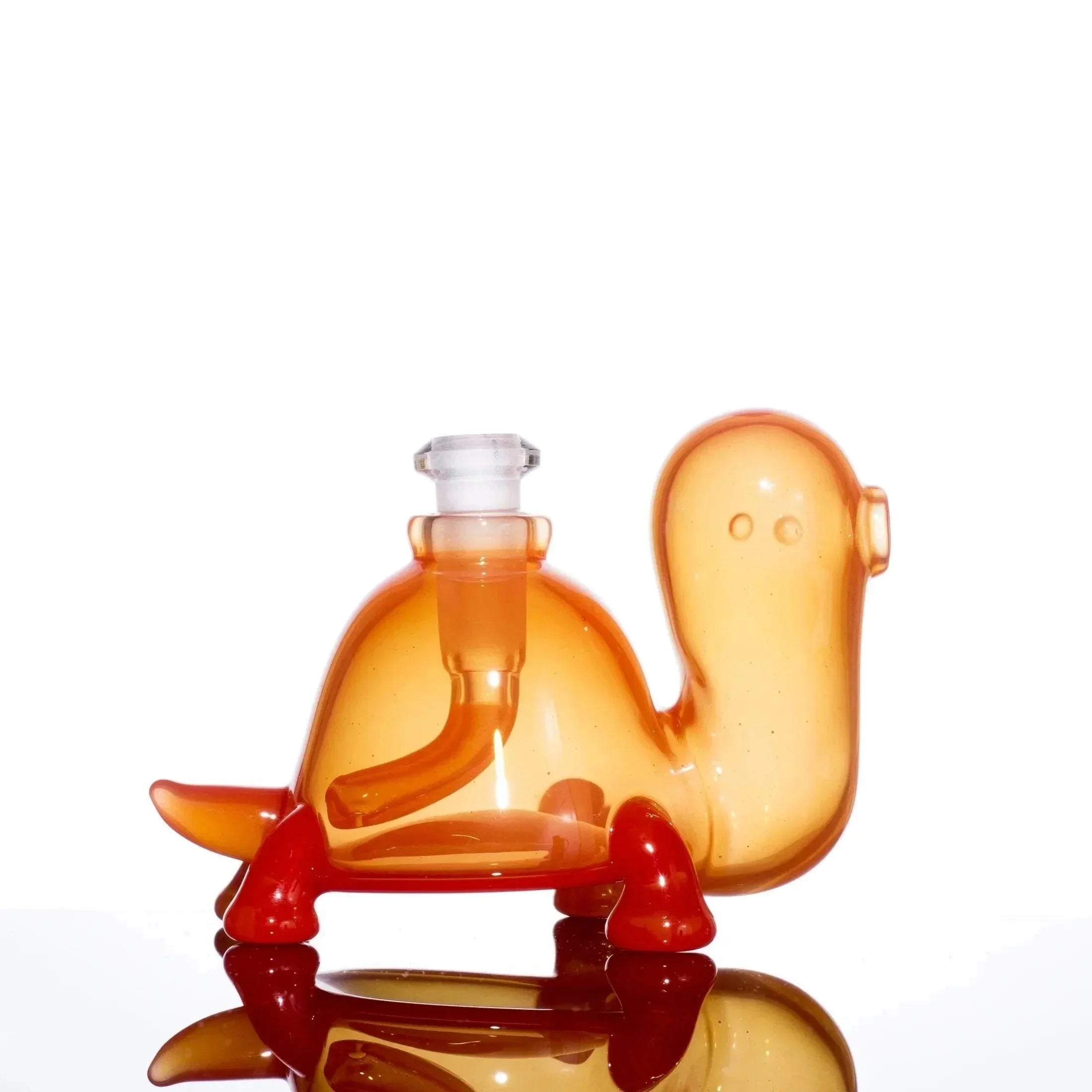 Eli Munster Turtle Set