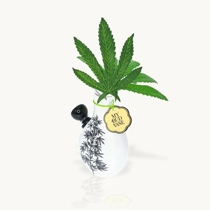 My Bud Vase - Love Bud Vase