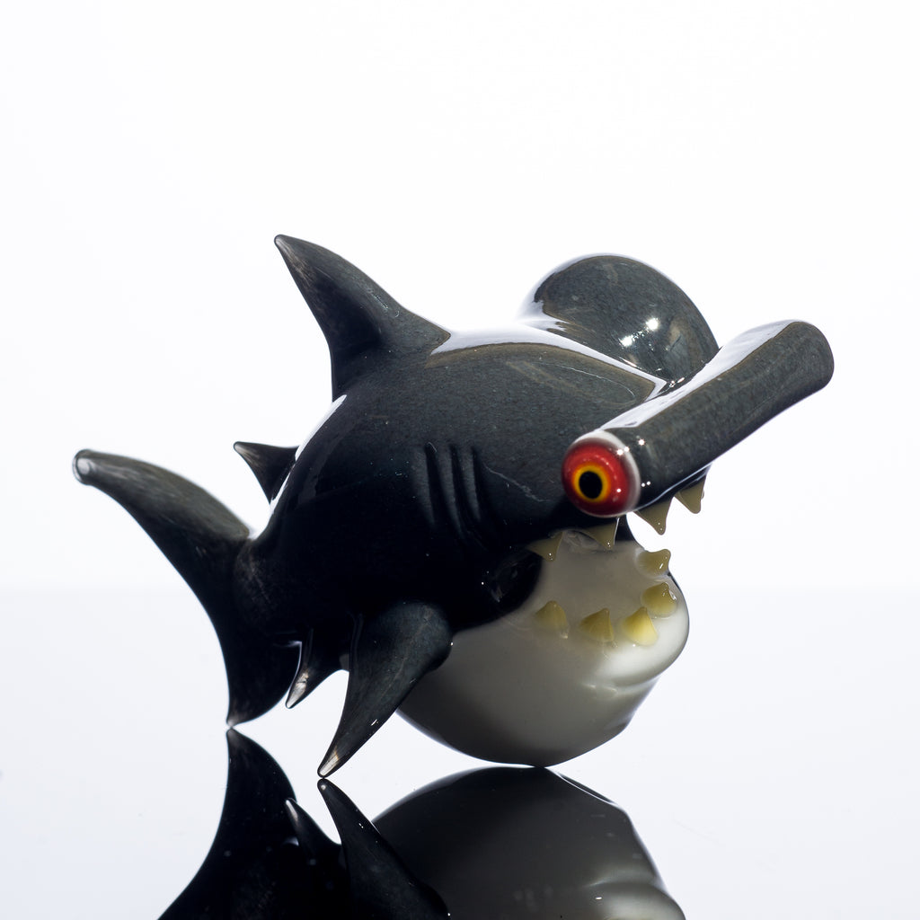 Niko Cray - Pipa seca de tiburón martillo