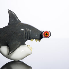 Niko Cray - Pipa seca de tiburón martillo