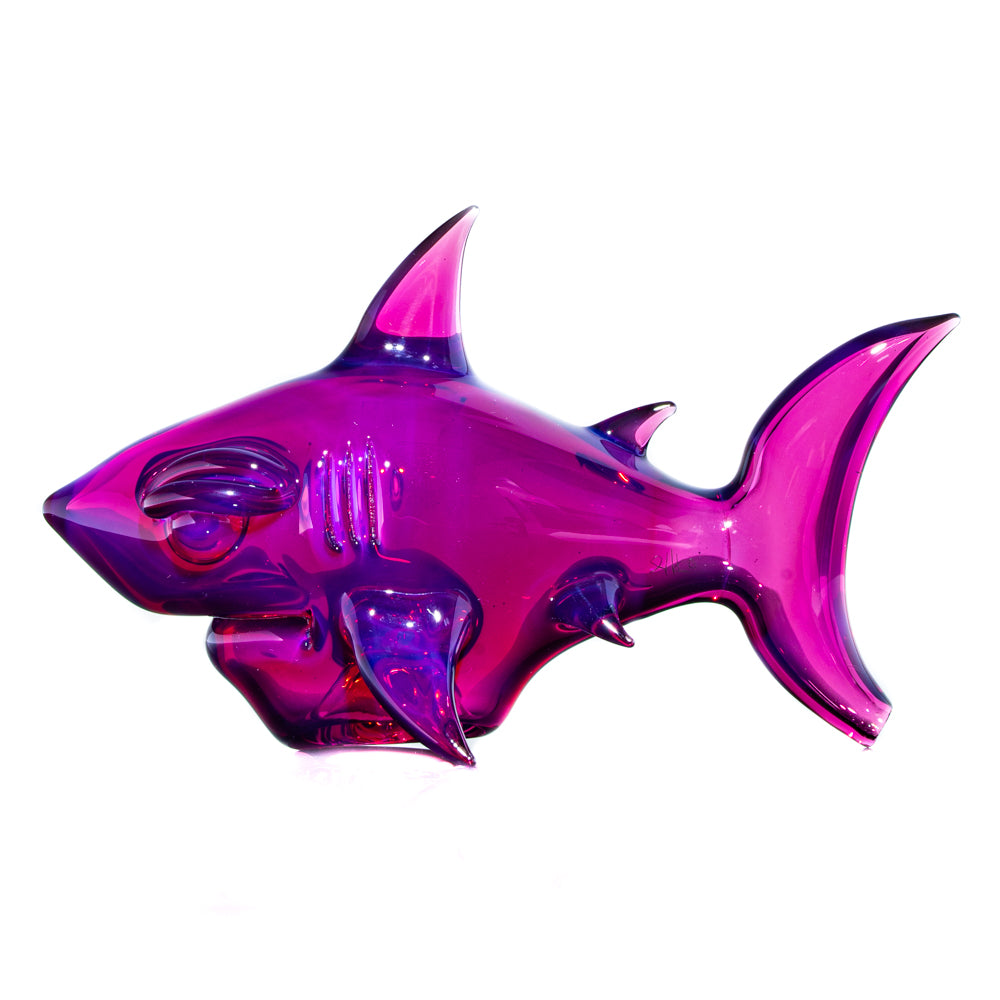 Niko Cray - Pipa seca Star Gazer Shark