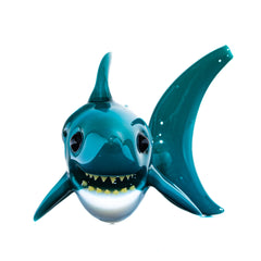 Niko Cray - Thresher Shark