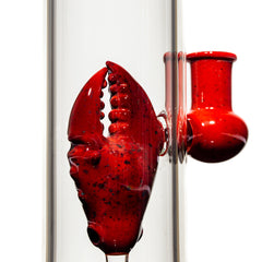Pubz - Pinza de langosta roja en una botella