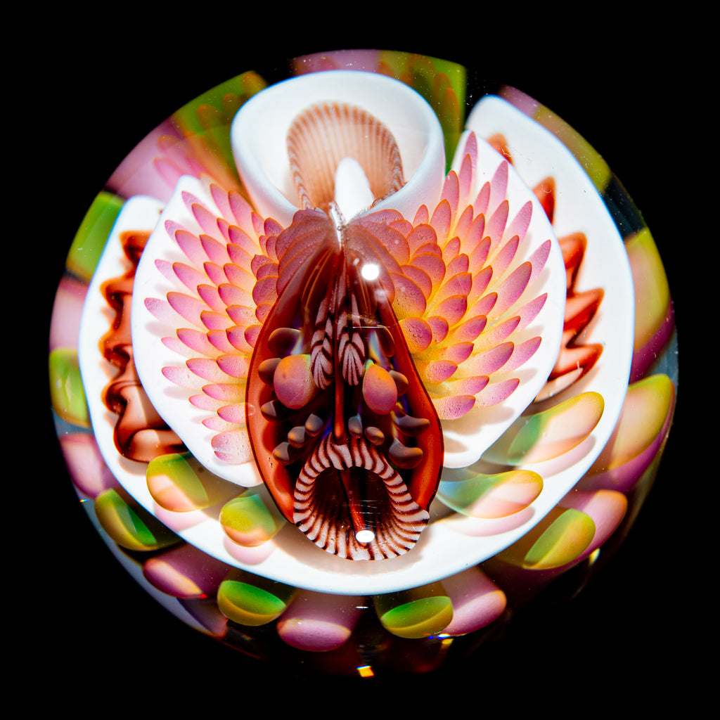 Richard Hollingshead - Alien Orchid Implosion Marble