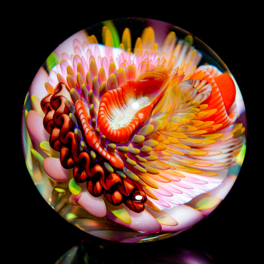 Richard Hollingshead - Alien Reef Implosion Marble
