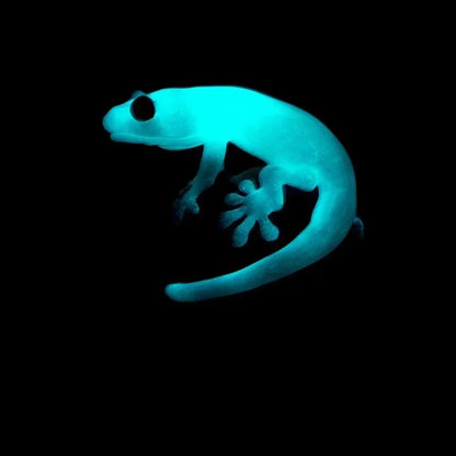 Rose Roads x Kengtaro - Blue-Glo Salamander