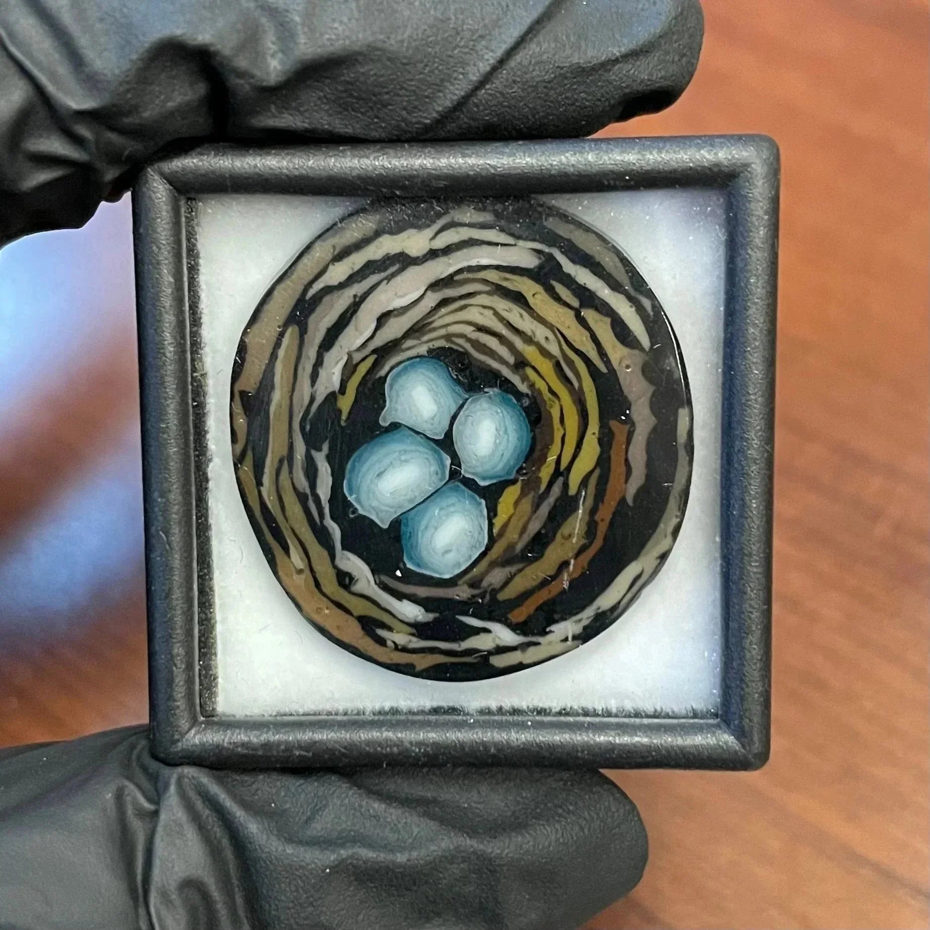 Stephen Boehme - Robins Egg Nest Coin