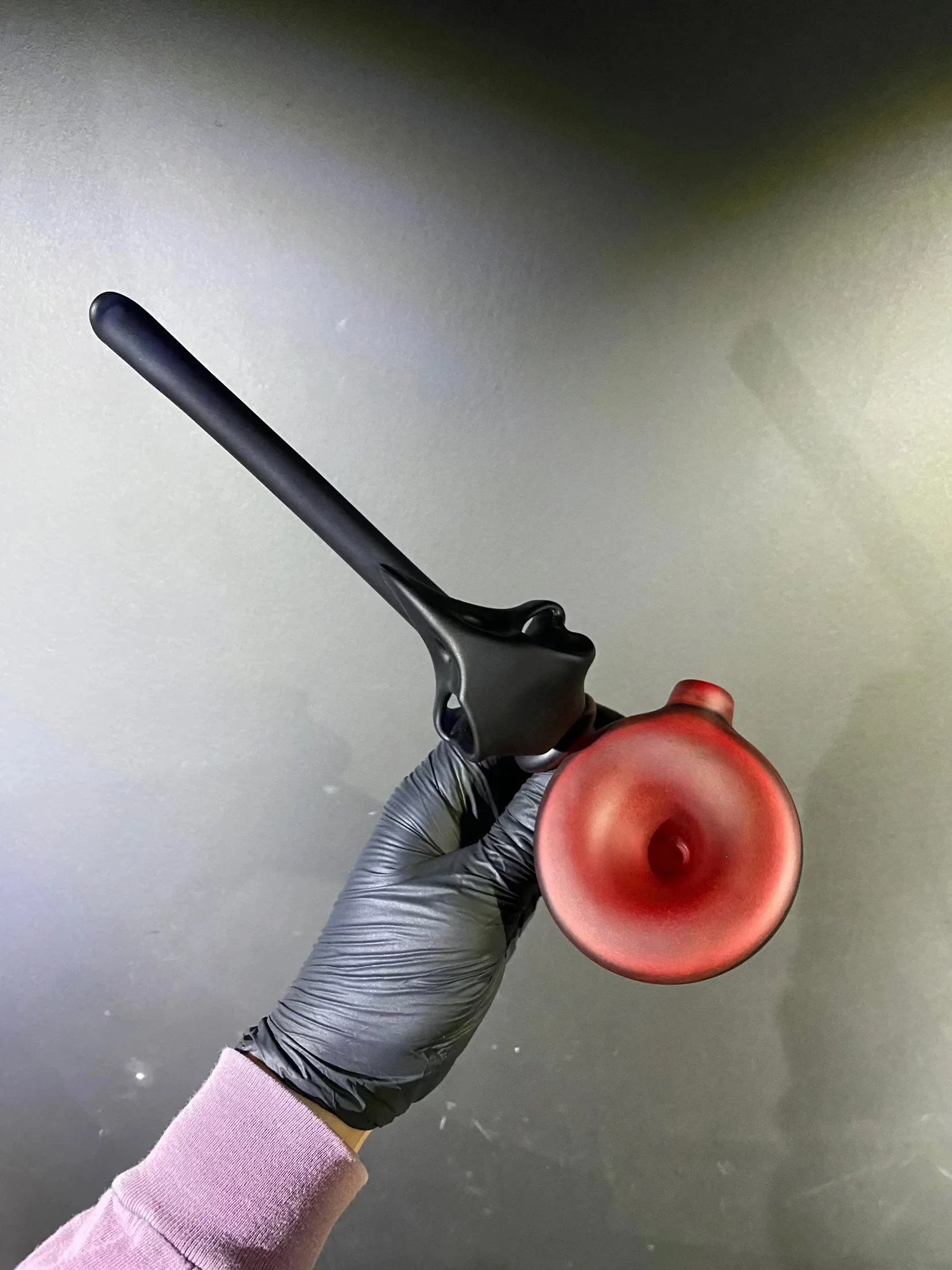 Bishop - Medium Bird Skull Dry