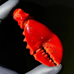 Pubz - Classic Cooked Red Lobster Claw w/ Knuckle Pendant