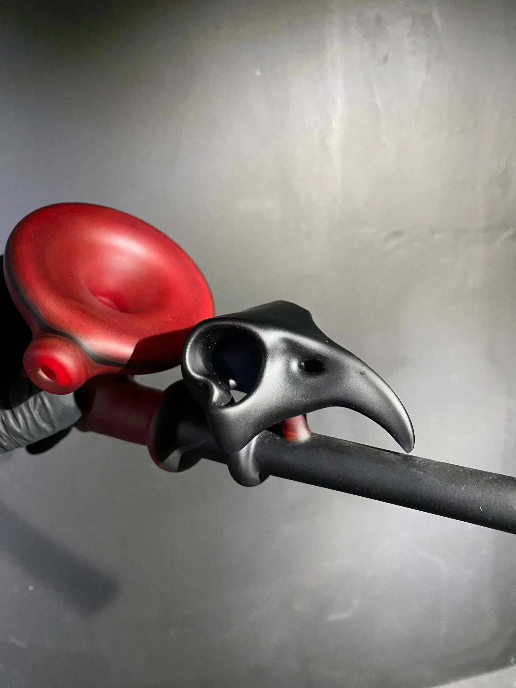 Bishop - Medium Bird Skull Dry