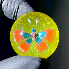 Florin Glass - Medium Terps and Nova Butterfly Marble