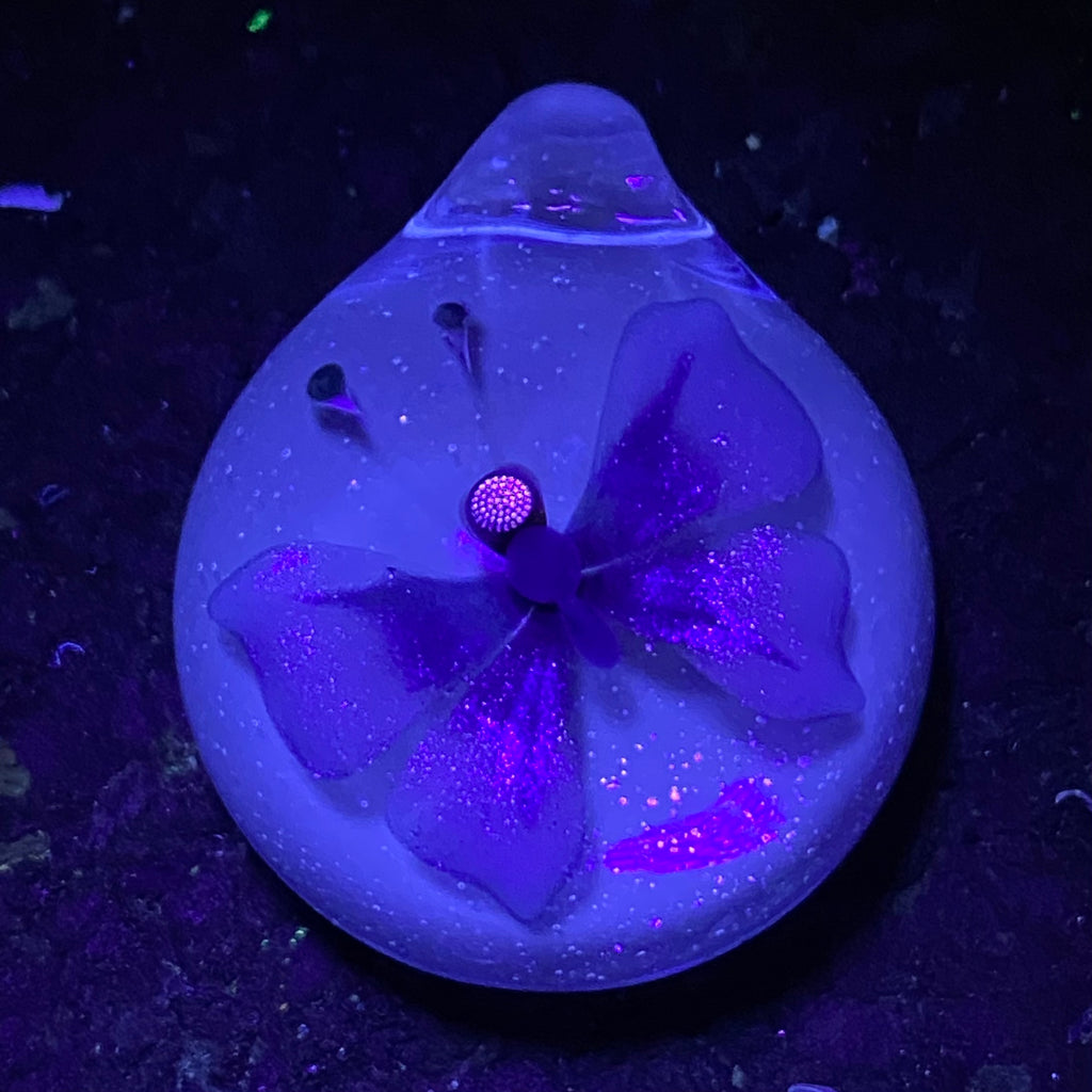 Florin Glass - Colgante de mariposa de polvo de estrellas atómico y unobtainium
